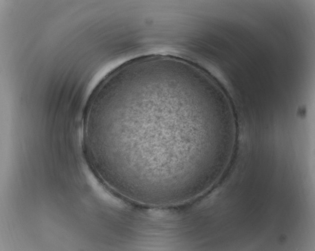 X0000112211032200908141453