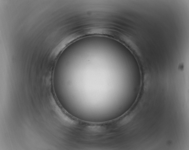 X0000112211033200908141453