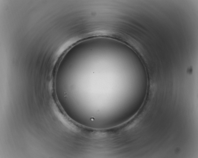 X0000112211034200908141453