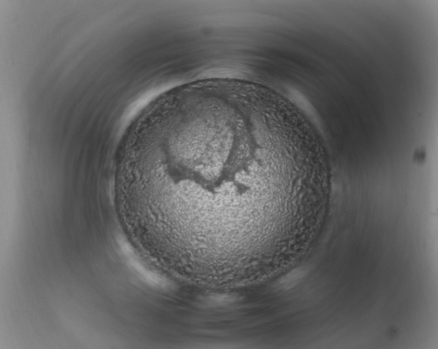 X0000112211035200908141453