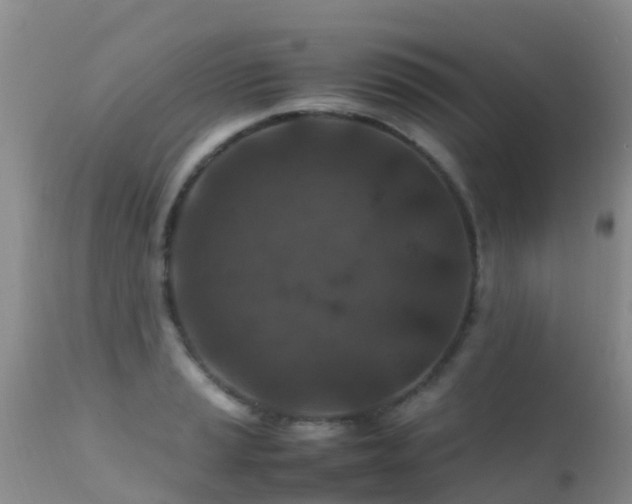 X0000112211037200908141453