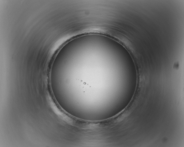 X0000112211038200908141453