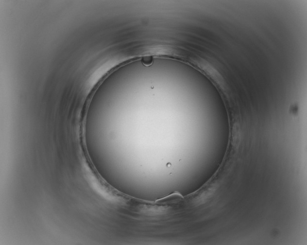 X0000112211039200908141453