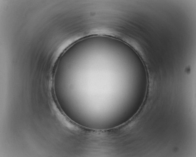 X0000112211040200908141453