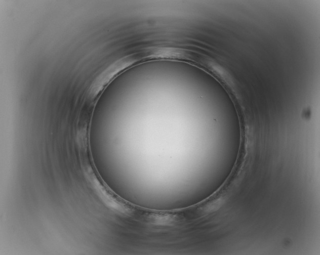 X0000112211041200908141453