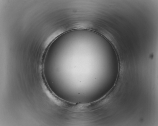 X0000112211042200908141453