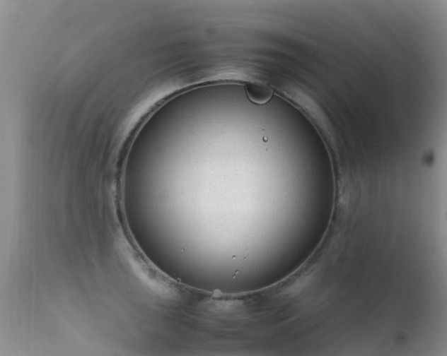 X0000112211043200908141453