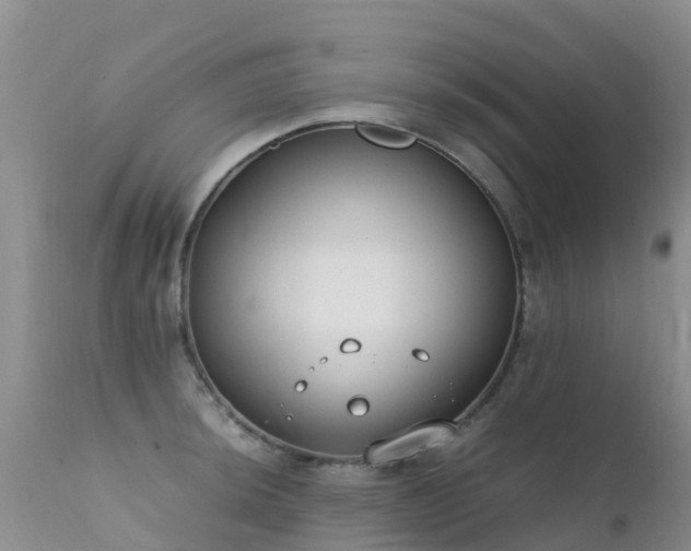 X0000112211044200908141453