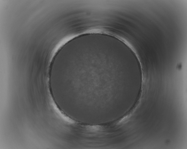 X0000112211045200908141453