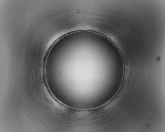 X0000112211046200908141453