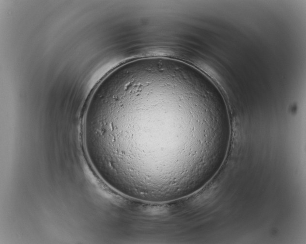 X0000112211047200908141453