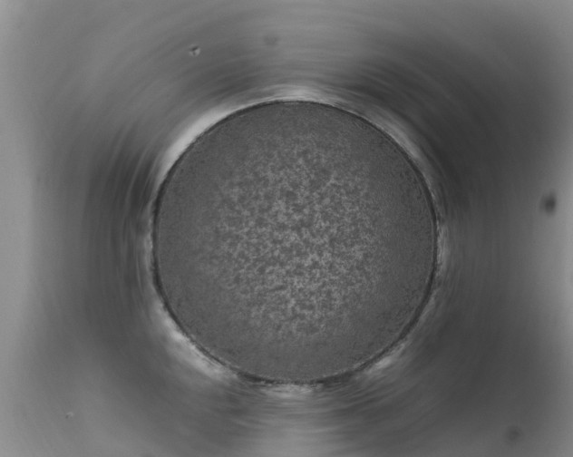 X0000112211048200908141453