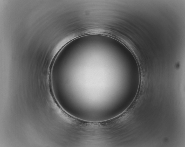 X0000112211050200908141453