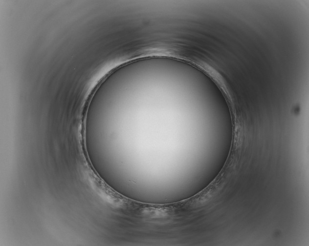 X0000112211051200908141453