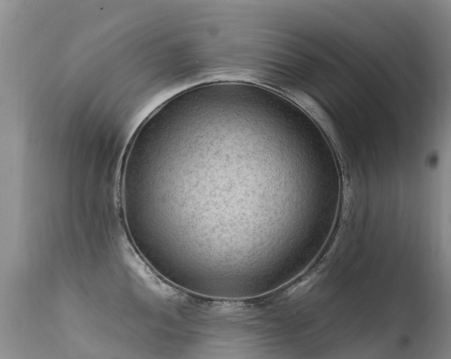 X0000112211052200908141453