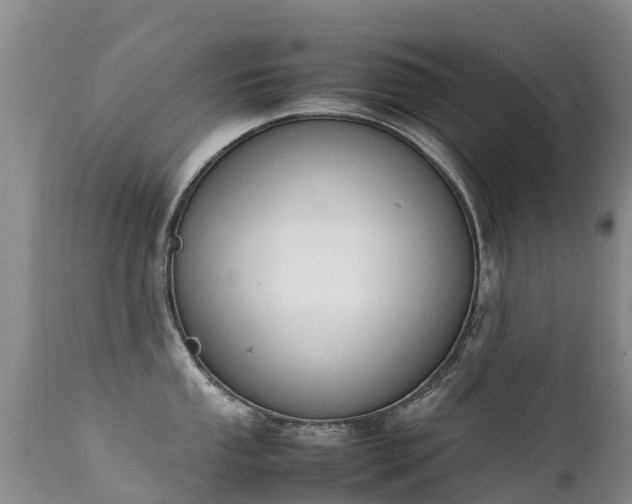 X0000112211053200908141453