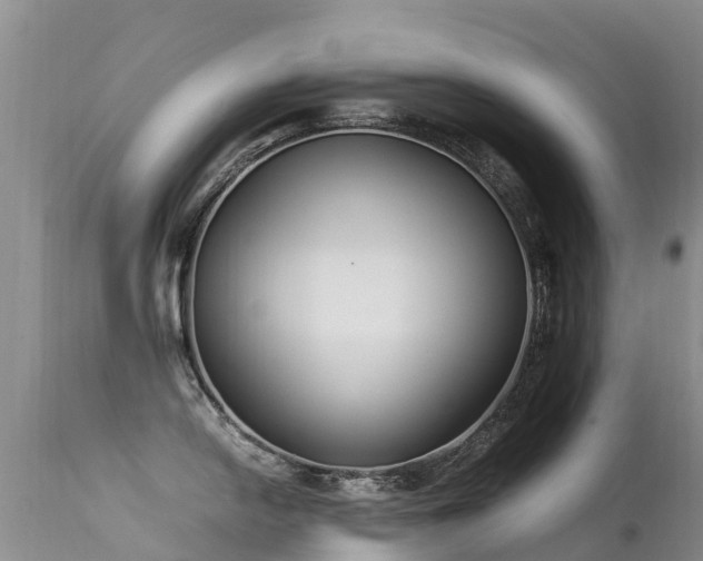 X0000112211054200908141453