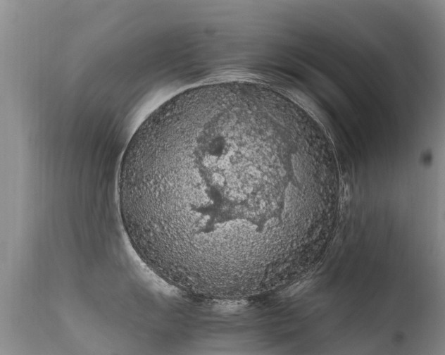 X0000112211055200908141453