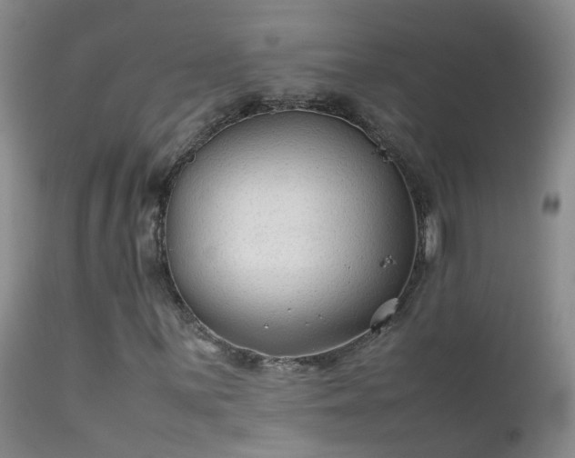 X0000112211059200908141453