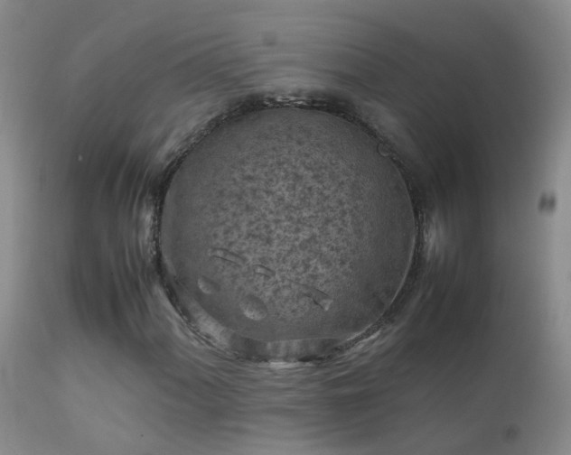 X0000112211060200908141453