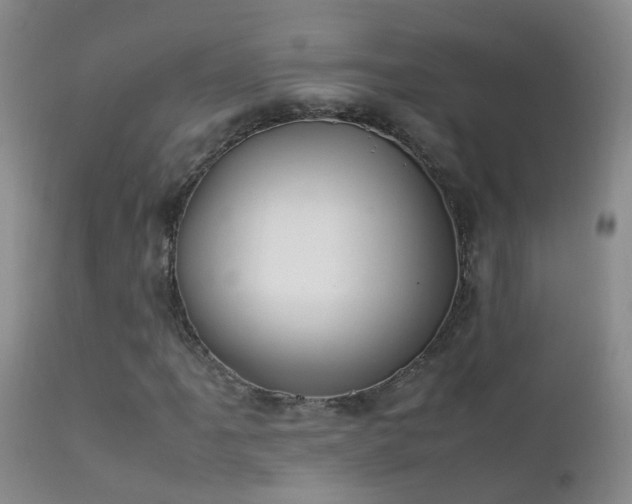 X0000112211061200908141453