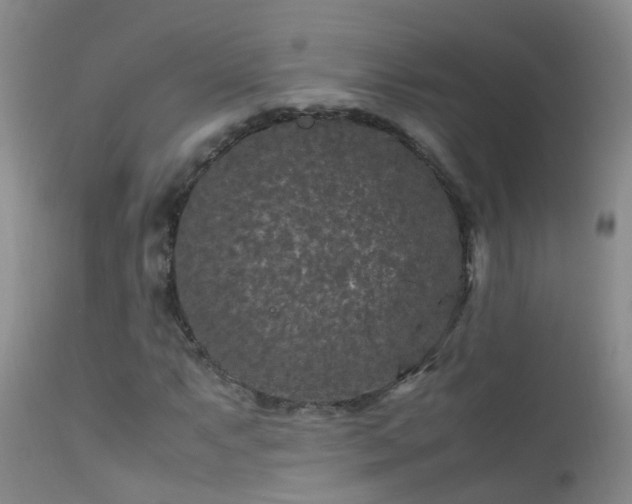 X0000112211063200908141453