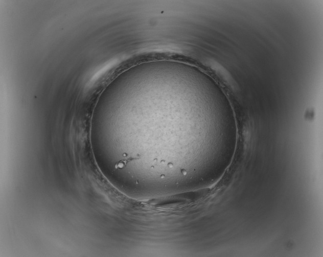 X0000112211064200908141453