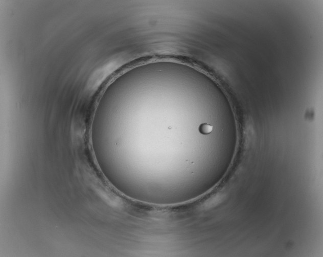 X0000112211065200908141453