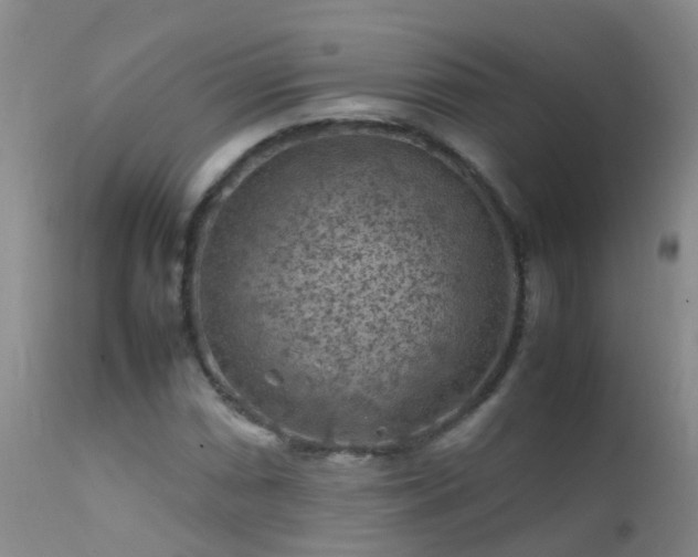 X0000112211066200908141453