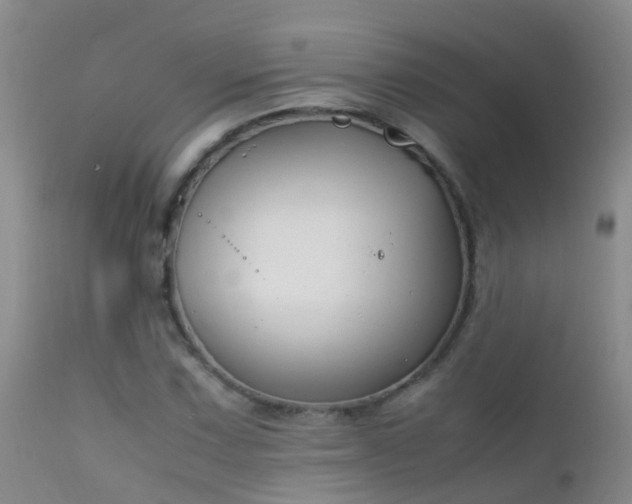 X0000112211067200908141453