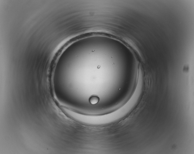 X0000112211068200908141453