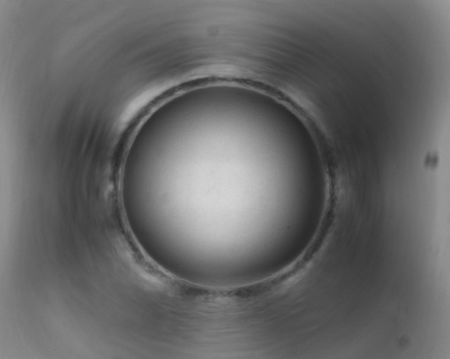 X0000112211070200908141452