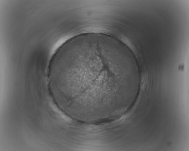 X0000112211071200908141452