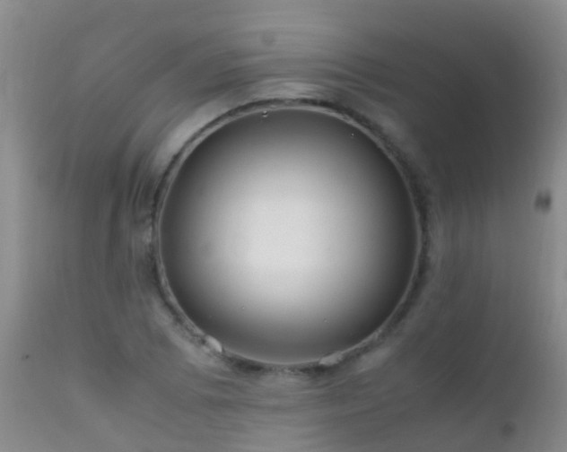 X0000112211073200908141452