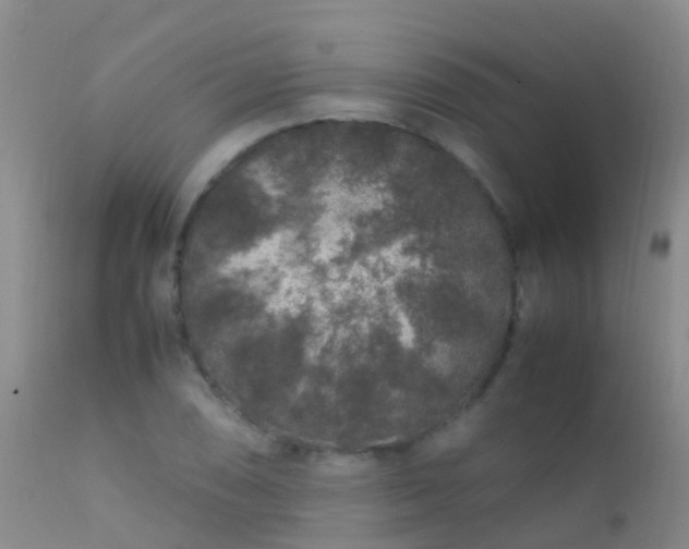 X0000112211074200908141452