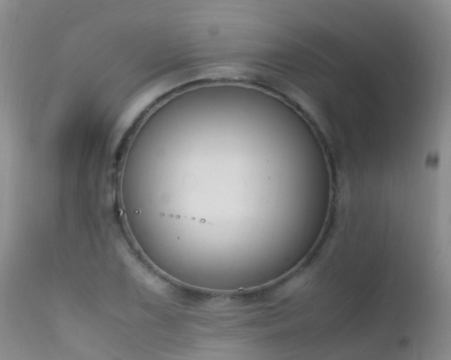 X0000112211075200908141452