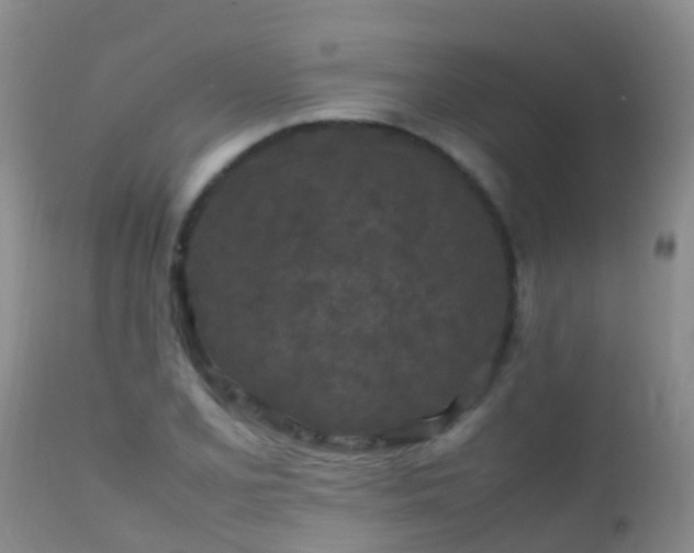 X0000112211077200908141452