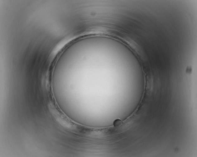 X0000112211078200908141452