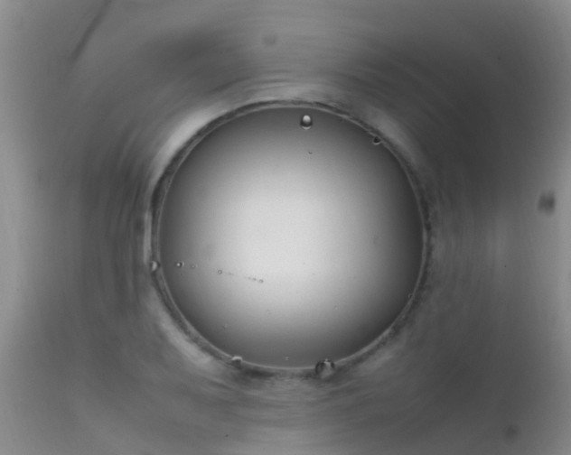 X0000112211079200908141452