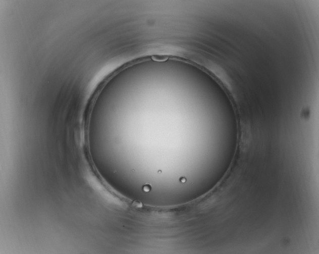 X0000112211080200908141452