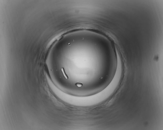 X0000112211081200908141452