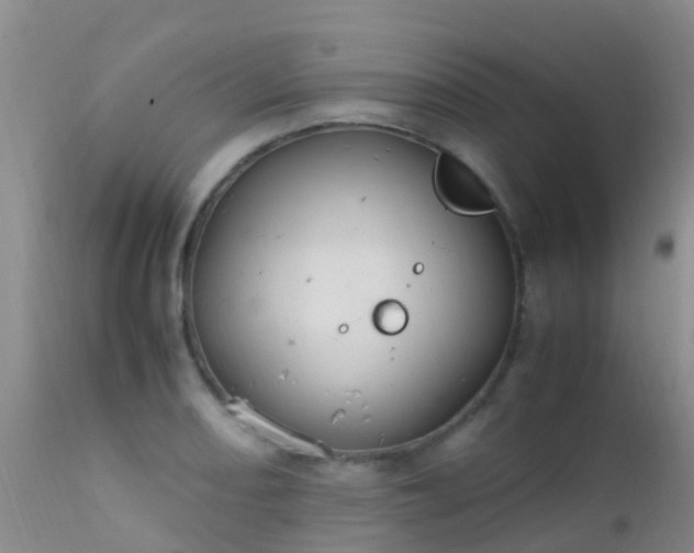 X0000112211082200908141452