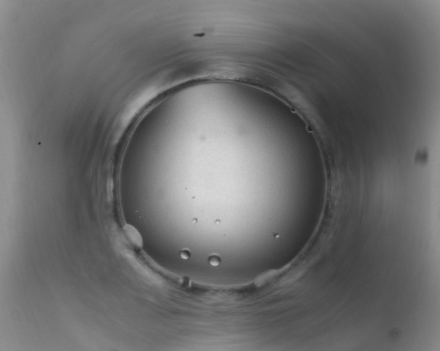 X0000112211083200908141452