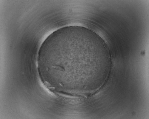 X0000112211084200908141452