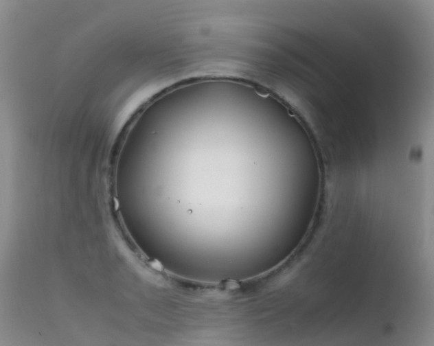 X0000112211085200908141452