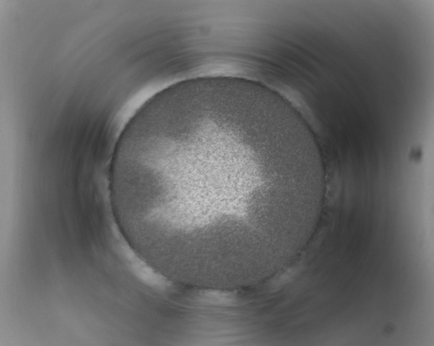 X0000112211086200908141452