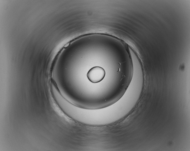 X0000112211088200908141452