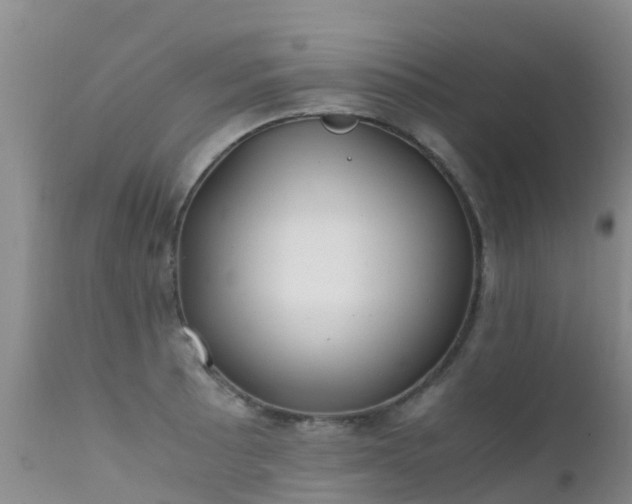 X0000112211089200908141452