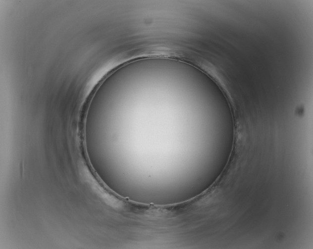 X0000112211091200908141452