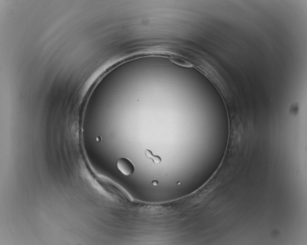 X0000112211092200908141452